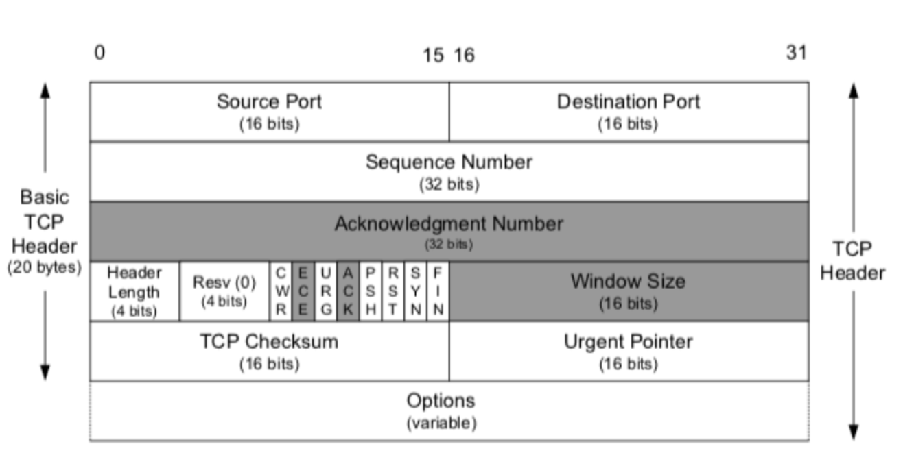 TCP_vs_UDP_03.jpeg