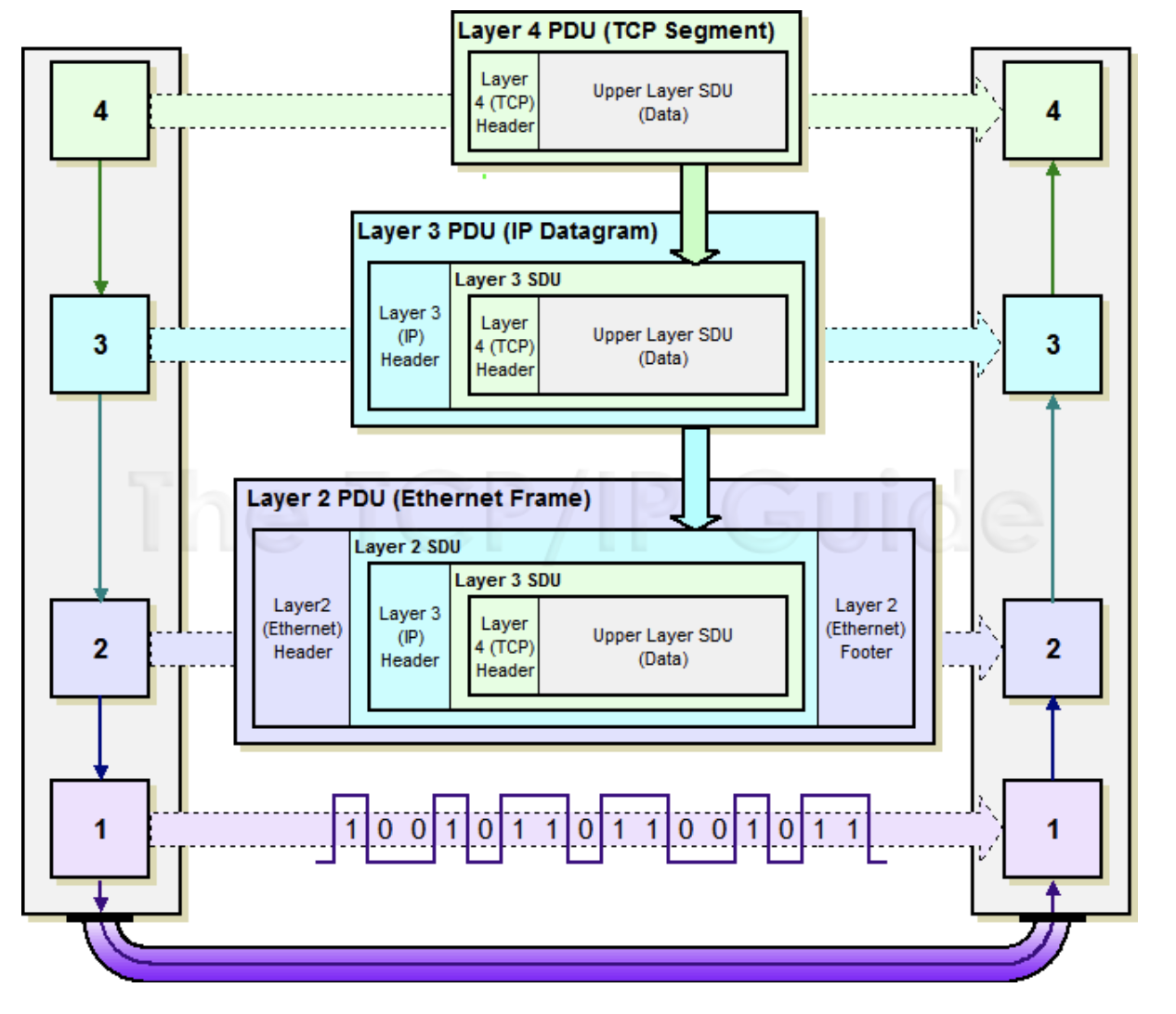 TCP_vs_UDP_01.jpeg